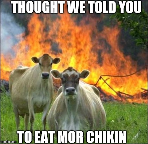 Evil Cows | THOUGHT WE TOLD YOU; TO EAT MOR CHIKIN | image tagged in memes,evil cows | made w/ Imgflip meme maker