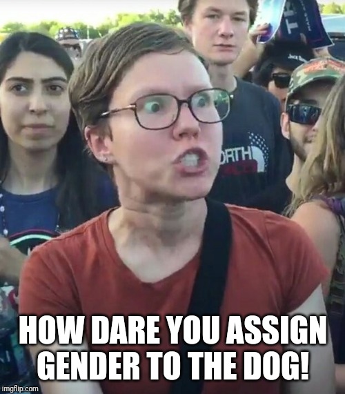 super_triggered | HOW DARE YOU ASSIGN GENDER TO THE DOG! | image tagged in super_triggered | made w/ Imgflip meme maker