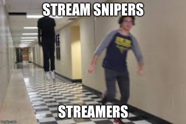 #streamer vs stream sniper | STREAM SNIPERS; STREAMERS | image tagged in memes | made w/ Imgflip meme maker