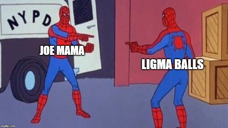 I mean, it's funny but they are pretty similar... | LIGMA BALLS; JOE MAMA | image tagged in spiderman pointing at spiderman,memes,funny,ligma,joe mama,ligma balls | made w/ Imgflip meme maker