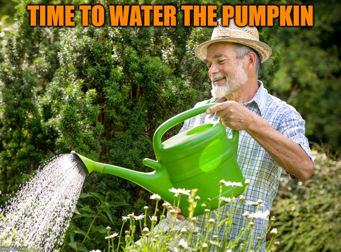 TIME TO WATER THE PUMPKIN | made w/ Imgflip meme maker