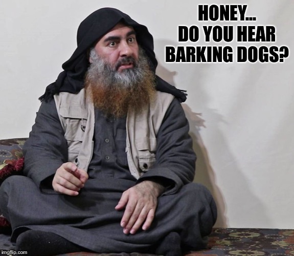 Who’s your BaghDaddy? The last thing he heard before the explosion... | HONEY... DO YOU HEAR BARKING DOGS? | image tagged in isis,baghdadi | made w/ Imgflip meme maker