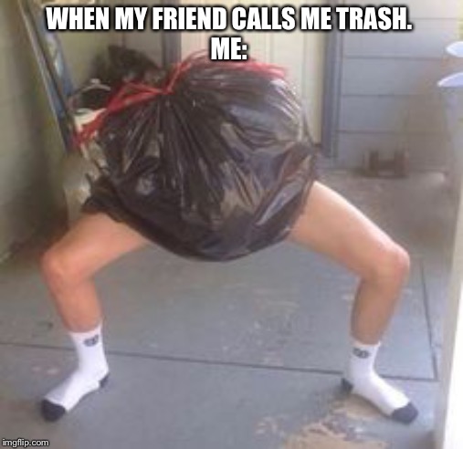 WHEN MY FRIEND CALLS ME TRASH.
ME: | image tagged in lol so funny | made w/ Imgflip meme maker