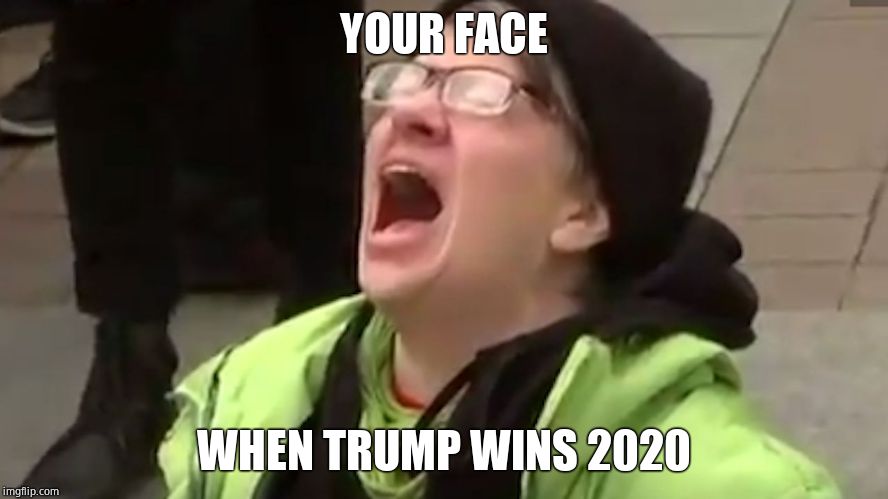 Screaming Liberal  | YOUR FACE WHEN TRUMP WINS 2020 | image tagged in screaming liberal | made w/ Imgflip meme maker