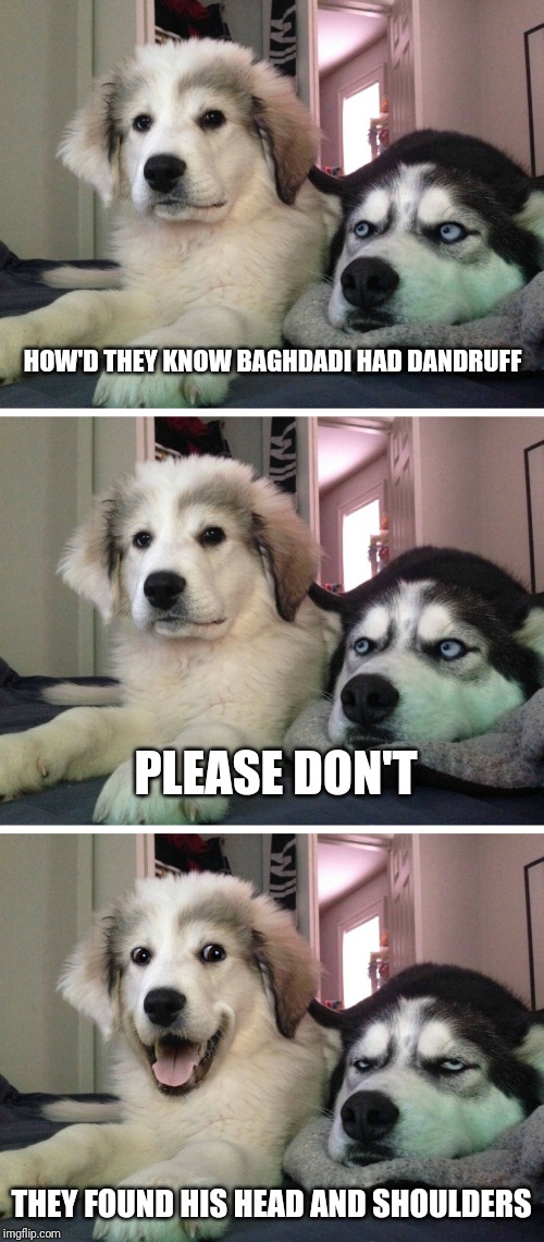 Know what I heard? | HOW'D THEY KNOW BAGHDADI HAD DANDRUFF; PLEASE DON'T; THEY FOUND HIS HEAD AND SHOULDERS | image tagged in bad pun dogs,isis leader,baghdadi,head and shoulders | made w/ Imgflip meme maker