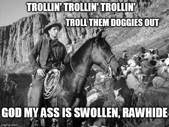 trollin' till they're raw | TROLLIN' TROLLIN' TROLLIN'; TROLL THEM DOGGIES OUT; GOD MY ASS IS SWOLLEN, RAWHIDE | image tagged in rawhide,trolls | made w/ Imgflip meme maker