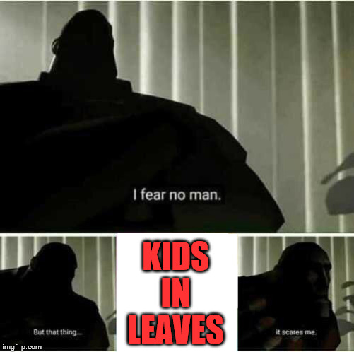 I fear no man | KIDS IN LEAVES | image tagged in i fear no man | made w/ Imgflip meme maker