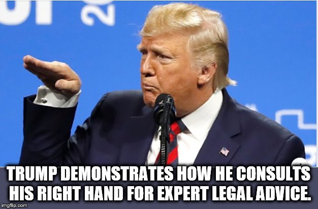 I Have a Very Good Brain... | TRUMP DEMONSTRATES HOW HE CONSULTS  HIS RIGHT HAND FOR EXPERT LEGAL ADVICE. | image tagged in donald trump,trump is a moron,impeach trump,crazy | made w/ Imgflip meme maker