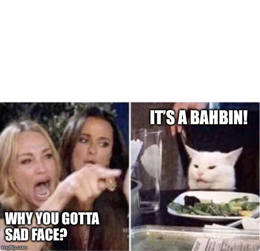 Real housewives screaming cat | IT’S A BAHBIN! WHY YOU GOTTA 
SAD FACE? | image tagged in real housewives screaming cat | made w/ Imgflip meme maker