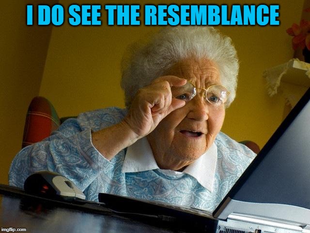 Grandma Finds The Internet Meme | I DO SEE THE RESEMBLANCE | image tagged in memes,grandma finds the internet | made w/ Imgflip meme maker