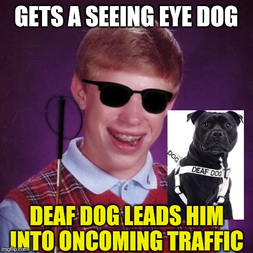 Bad Luck Brian Blind | GETS A SEEING EYE DOG; DEAF DOG LEADS HIM INTO ONCOMING TRAFFIC | image tagged in bad luck brian blind | made w/ Imgflip meme maker