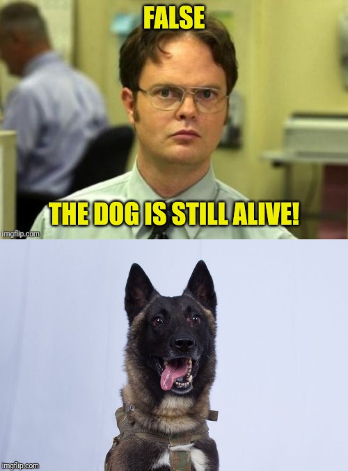 FALSE THE DOG IS STILL ALIVE! | made w/ Imgflip meme maker