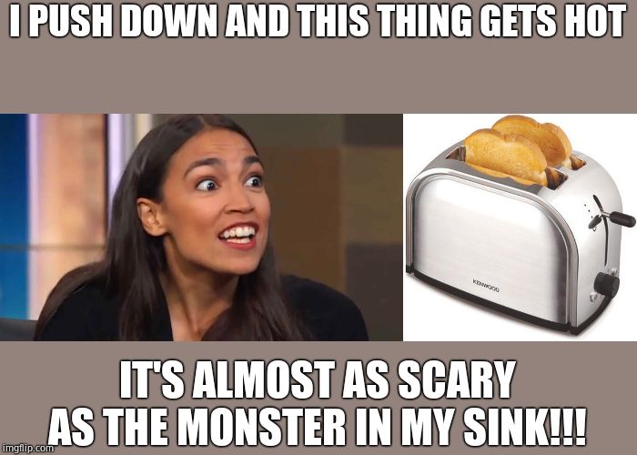 I PUSH DOWN AND THIS THING GETS HOT IT'S ALMOST AS SCARY AS THE MONSTER IN MY SINK!!! | image tagged in toaster,crazy aoc | made w/ Imgflip meme maker