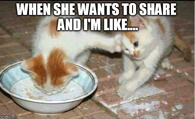 WHEN SHE WANTS TO SHARE 
AND I'M LIKE.... | image tagged in cat,meme,funny | made w/ Imgflip meme maker