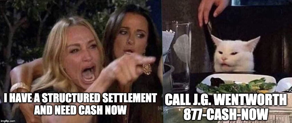 woman yelling at cat | CALL J.G. WENTWORTH
877-CASH-NOW; I HAVE A STRUCTURED SETTLEMENT
AND NEED CASH NOW | image tagged in woman yelling at cat | made w/ Imgflip meme maker