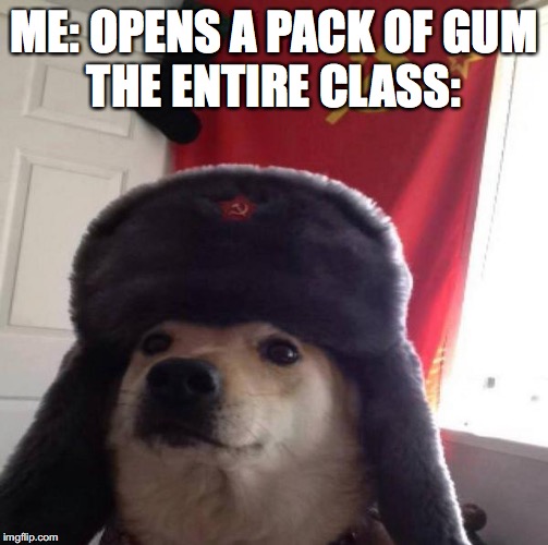 Russian Doge | ME: OPENS A PACK OF GUM
THE ENTIRE CLASS: | image tagged in russian doge | made w/ Imgflip meme maker
