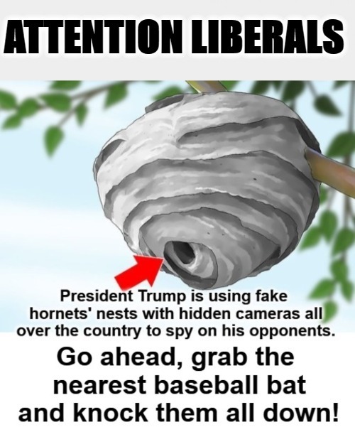 Attention Liberals: Trump is Spying on You! | image tagged in drones,baseball bat,there's no crying in baseball,liberals,triggered liberal,sjw triggered | made w/ Imgflip meme maker