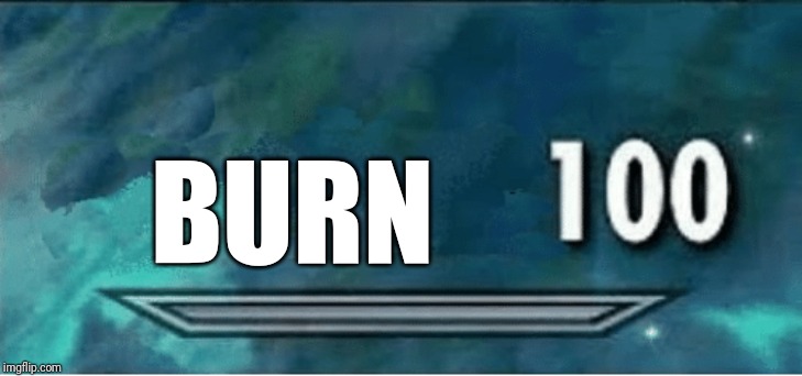 Skyrim 100 Blank | BURN | image tagged in skyrim 100 blank | made w/ Imgflip meme maker