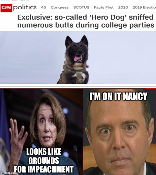 Closed door sessions will begin at the dog pound next week.... Scooby Doo is a bombshell witness | I'M ON IT NANCY; LOOKS LIKE GROUNDS FOR IMPEACHMENT | image tagged in memes,adam schiff,nancy pelosi | made w/ Imgflip meme maker