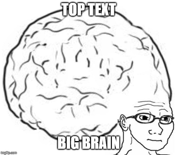 Big Brain | TOP TEXT; BIG BRAIN | image tagged in big brain | made w/ Imgflip meme maker