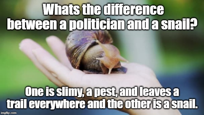 the difference between a politician and a snail | Whats the difference between a politician and a snail? One is slimy, a pest, and leaves a trail everywhere and the other is a snail. | image tagged in political humor | made w/ Imgflip meme maker
