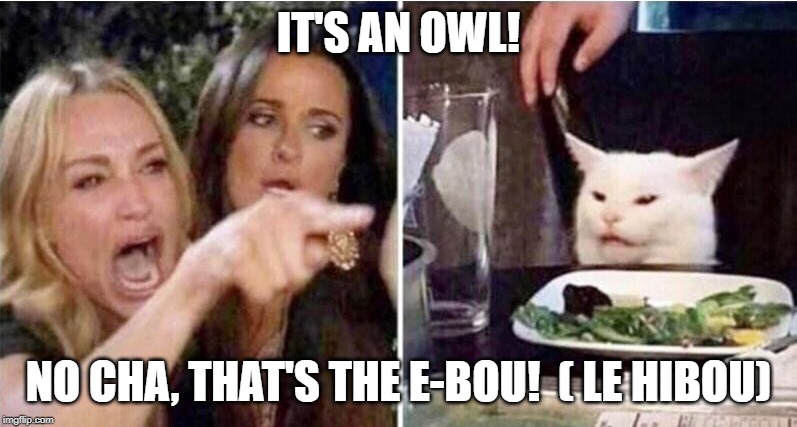 Crying girls and Cat | IT'S AN OWL! NO CHA, THAT'S THE E-BOU!  ( LE HIBOU) | image tagged in crying girls and cat | made w/ Imgflip meme maker