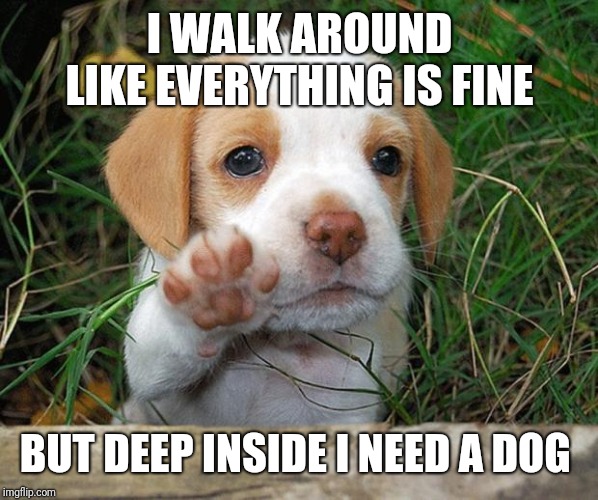 dog puppy bye | I WALK AROUND LIKE EVERYTHING IS FINE; BUT DEEP INSIDE I NEED A DOG | image tagged in dog puppy bye | made w/ Imgflip meme maker