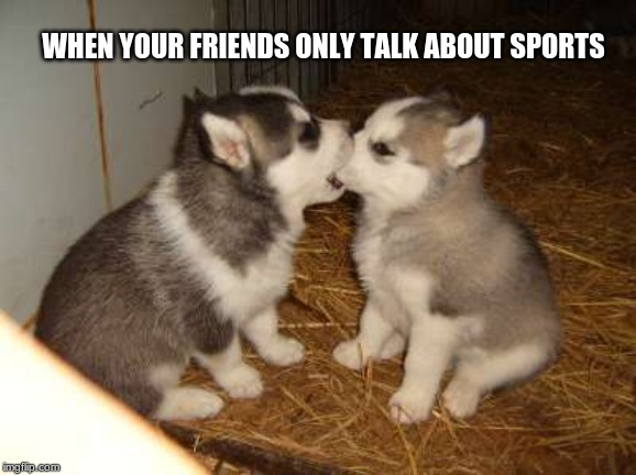 Enough | WHEN YOUR FRIENDS ONLY TALK ABOUT SPORTS | image tagged in memes,cute puppies,enough,stop talking about sports,no one cares | made w/ Imgflip meme maker