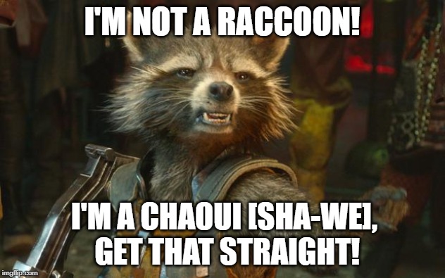 rocket racoon | I'M NOT A RACCOON! I'M A CHAOUI [SHA-WE],  GET THAT STRAIGHT! | image tagged in rocket racoon | made w/ Imgflip meme maker