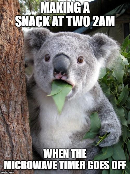 O sh.............. | MAKING A SNACK AT TWO 2AM; WHEN THE MICROWAVE TIMER GOES OFF | image tagged in memes,surprised koala | made w/ Imgflip meme maker
