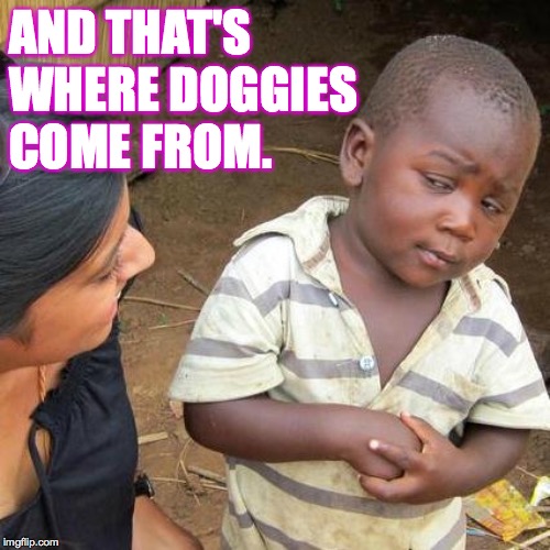Third World Skeptical Kid Meme | AND THAT'S
WHERE DOGGIES
COME FROM. | image tagged in memes,third world skeptical kid | made w/ Imgflip meme maker