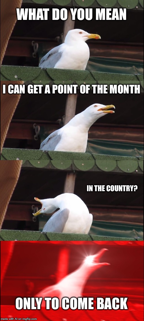 Inhaling Seagull | WHAT DO YOU MEAN; I CAN GET A POINT OF THE MONTH; IN THE COUNTRY? ONLY TO COME BACK | image tagged in memes,inhaling seagull | made w/ Imgflip meme maker