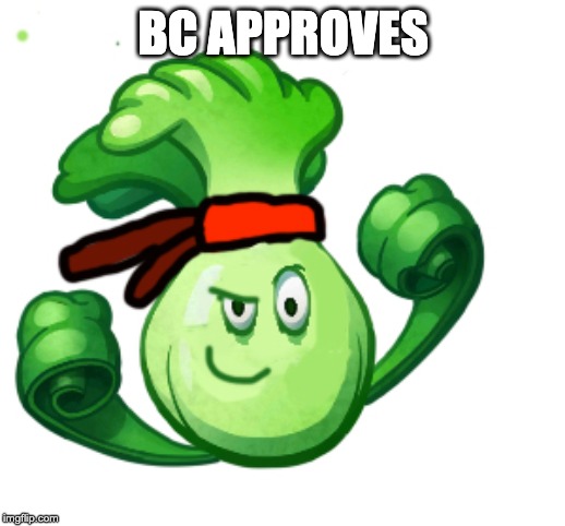 BC approves | BC APPROVES | image tagged in bc approves | made w/ Imgflip meme maker