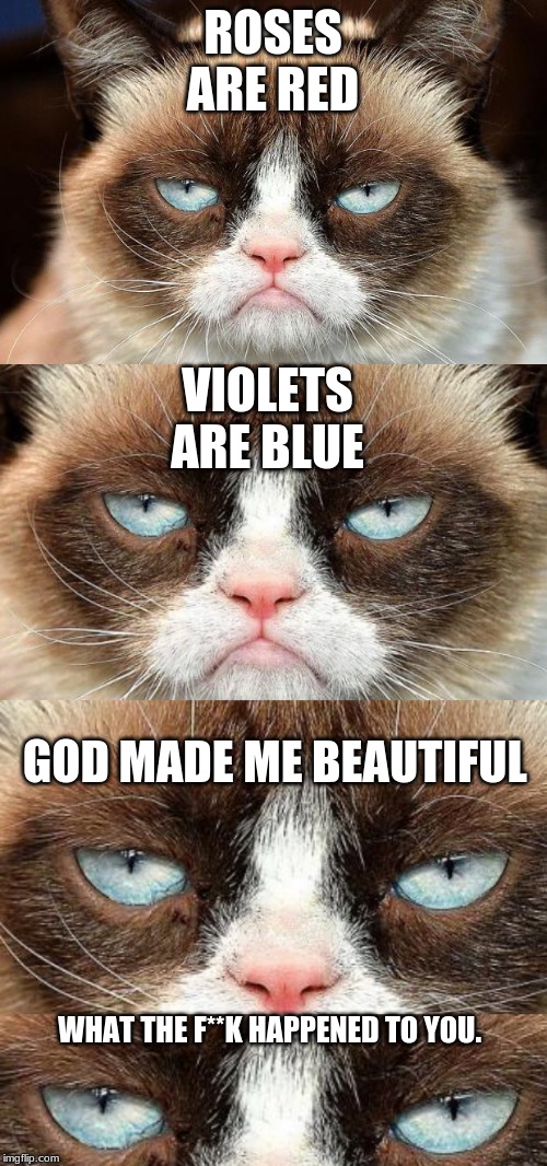 ROSES ARE RED; VIOLETS ARE BLUE; GOD MADE ME BEAUTIFUL; WHAT THE F**K HAPPENED TO YOU. | image tagged in memes,grumpy cat not amused | made w/ Imgflip meme maker