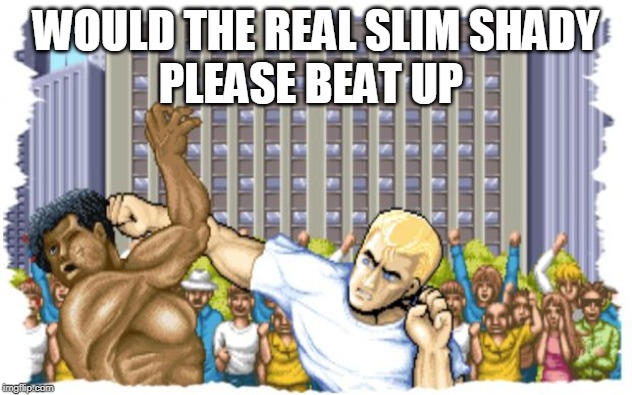 Street Fighter |  WOULD THE REAL SLIM SHADY; PLEASE BEAT UP | image tagged in street fighter,slim shady | made w/ Imgflip meme maker