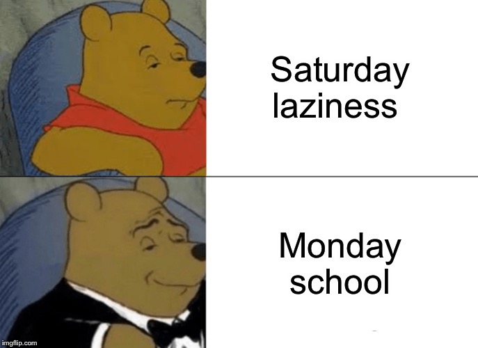 Tuxedo Winnie The Pooh | Saturday laziness; Monday school | image tagged in memes,tuxedo winnie the pooh | made w/ Imgflip meme maker
