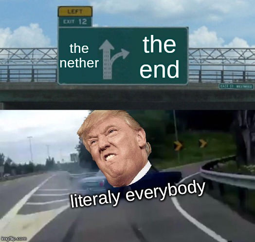 minecraft community | the nether; the end; literaly everybody | image tagged in memes,left exit 12 off ramp | made w/ Imgflip meme maker