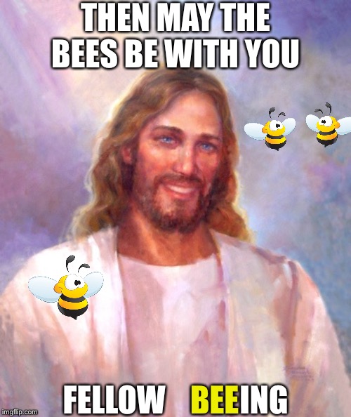 Smiling Jesus Meme | THEN MAY THE BEES BE WITH YOU FELLOW            ING BEE | image tagged in memes,smiling jesus | made w/ Imgflip meme maker