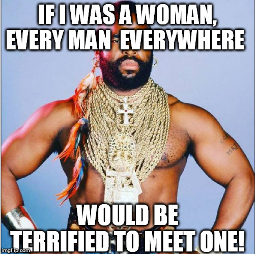 IF I WAS A WOMAN, EVERY MAN  EVERYWHERE WOULD BE TERRIFIED TO MEET ONE! | made w/ Imgflip meme maker