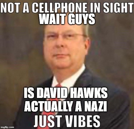 david hawks memes | WAIT GUYS; IS DAVID HAWKS ACTUALLY A NAZI | image tagged in birds | made w/ Imgflip meme maker