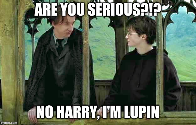 Harry Potter and Lupin on bridge | ARE YOU SERIOUS?!? NO HARRY, I'M LUPIN | image tagged in harry potter and lupin on bridge | made w/ Imgflip meme maker