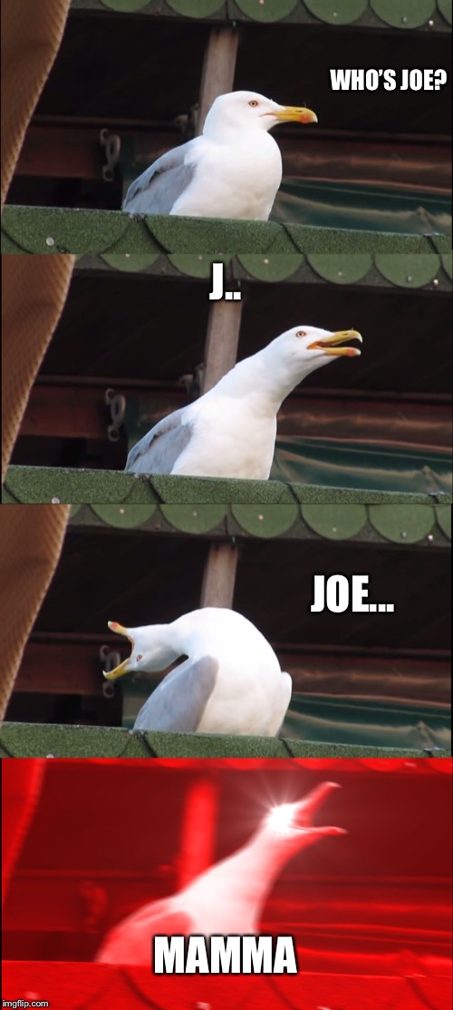 Inhaling Seagull Meme | WHO’S JOE? J.. JOE... MAMMA | image tagged in memes,inhaling seagull | made w/ Imgflip meme maker