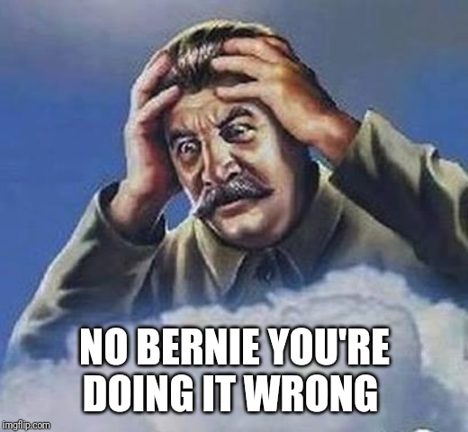 Worrying Stalin | NO BERNIE YOU'RE DOING IT WRONG | image tagged in worrying stalin | made w/ Imgflip meme maker