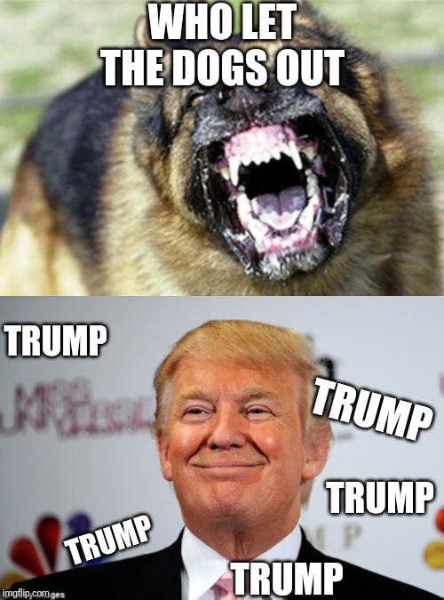 WHO LET THE DOGS OUT; TRUMP; TRUMP; TRUMP; TRUMP; TRUMP | image tagged in evil german shepherd from hell 2,donald trump approves | made w/ Imgflip meme maker