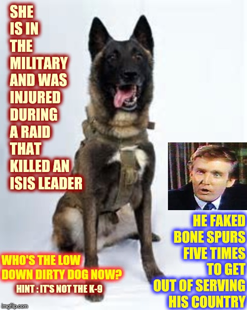 Donald Trump Has No Credibility, Dignity OR Honor!  (and he's dumber than a box of rocks!) | SHE IS IN THE MILITARY AND WAS INJURED DURING A RAID THAT KILLED AN ISIS LEADER; HE FAKED BONE SPURS FIVE TIMES TO GET OUT OF SERVING HIS COUNTRY; WHO'S THE LOW DOWN DIRTY DOG NOW? HINT : IT'S NOT THE K-9 | image tagged in memes,liar in chief,impeach trump,lock him up,donald trump is an idiot,shameless | made w/ Imgflip meme maker