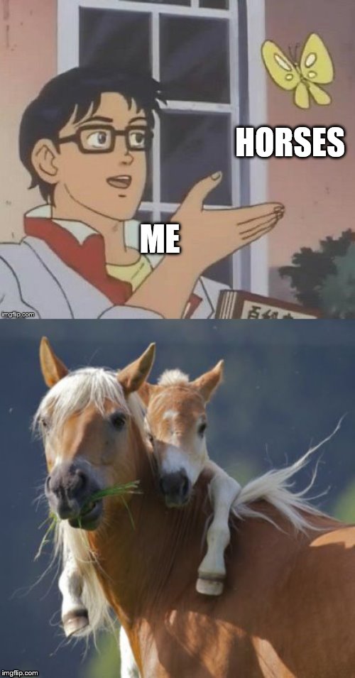 horses meme | HORSES; ME | image tagged in horses | made w/ Imgflip meme maker
