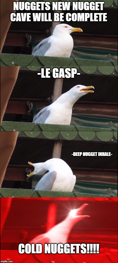 Inhaling Seagull | NUGGETS NEW NUGGET CAVE WILL BE COMPLETE; -LE GASP-; -DEEP NUGGET INHALE-; COLD NUGGETS!!!! | image tagged in memes,inhaling seagull | made w/ Imgflip meme maker