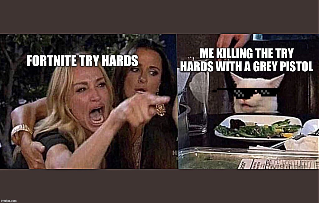 woman yelling at cat | ME KILLING THE TRY HARDS WITH A GREY PISTOL; FORTNITE TRY HARDS | image tagged in woman yelling at cat | made w/ Imgflip meme maker