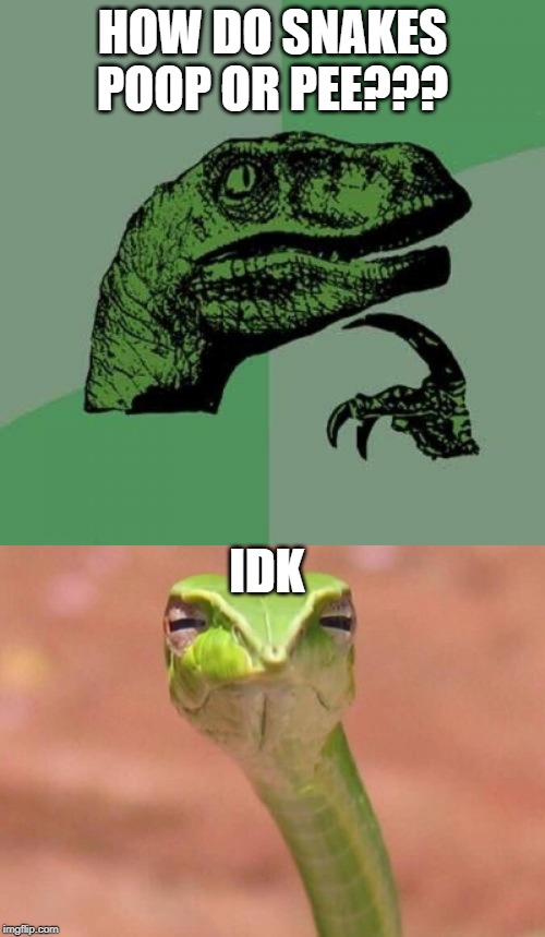 Does anyone know how snakes poop or pee? |  HOW DO SNAKES POOP OR PEE??? IDK | image tagged in memes,philosoraptor,skeptical snake,funny,snakes | made w/ Imgflip meme maker