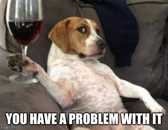 when dogs drink | YOU HAVE A PROBLEM WITH IT | image tagged in funny,funny memes,funny animals,animals,funny animal meme | made w/ Imgflip meme maker